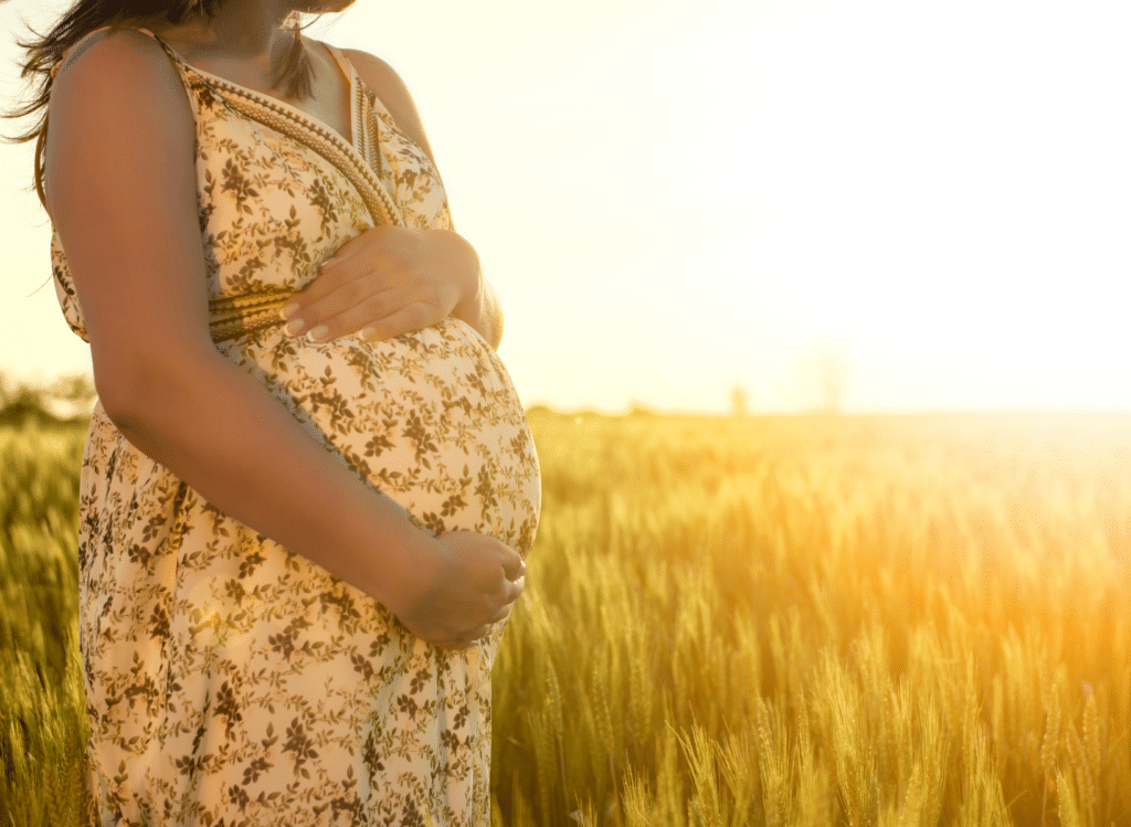 Pregnant Mother in Cornfield